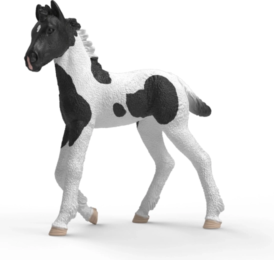 Schleich Horse Club puledro da collezione Rocky - 1 pezzo