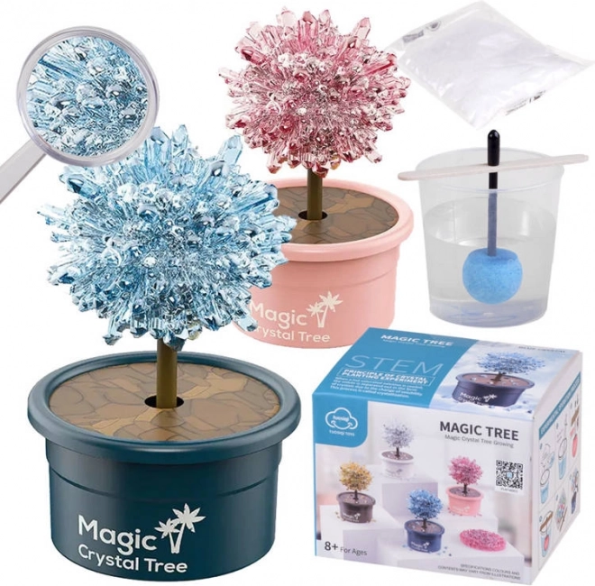 Set scientifico per la coltivazione dei cristalli – magico alberello della fortuna