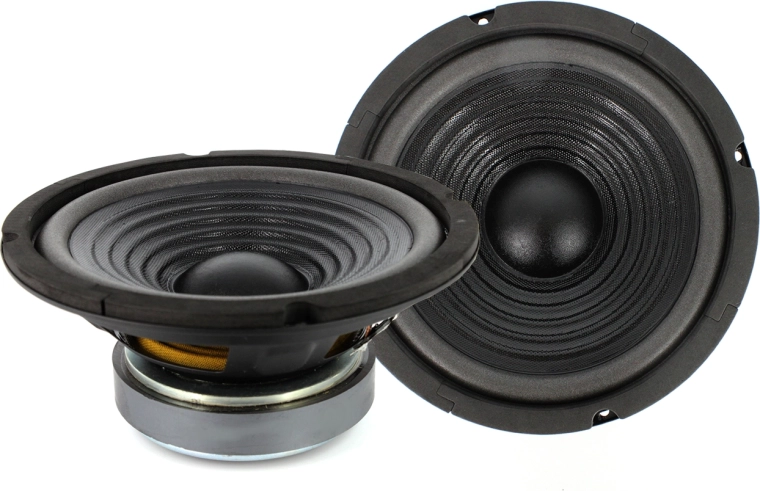 Altoparlante HSP 8″ / 200 mm