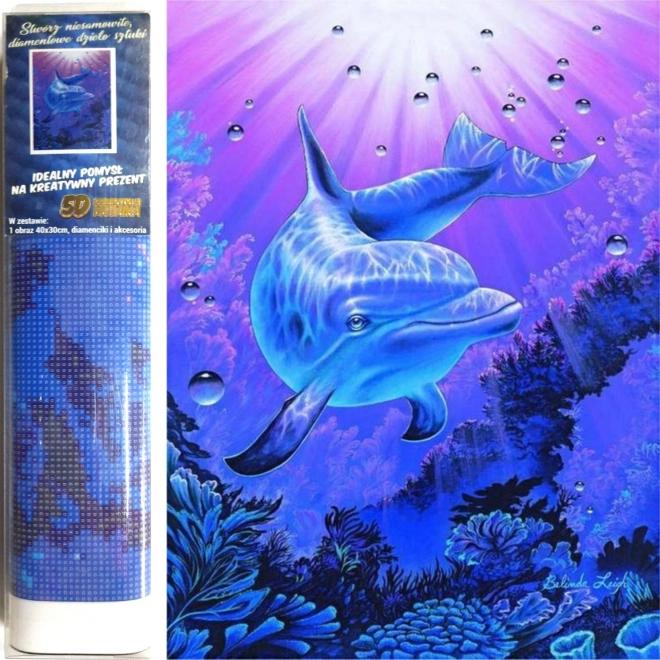 Norimpex pittura con diamanti Delfino 30 × 40 cm