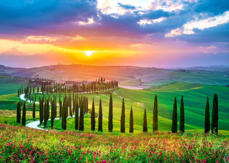 Puzzle Enjoy Alba in Toscana 1000 pezzi