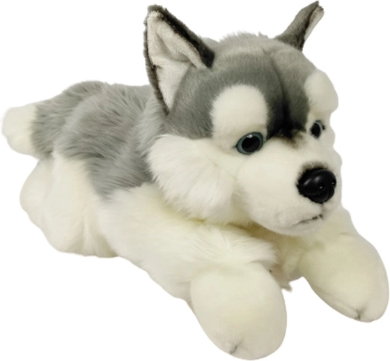 Husky di peluche 61 cm