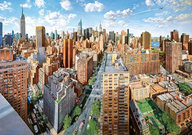 Puzzle Città di New York 2000 Pezzi