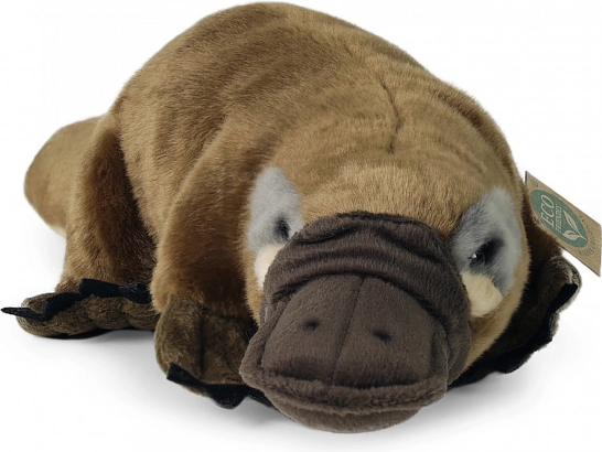 Ornitorinco di peluche da bottiglie PET riciclate