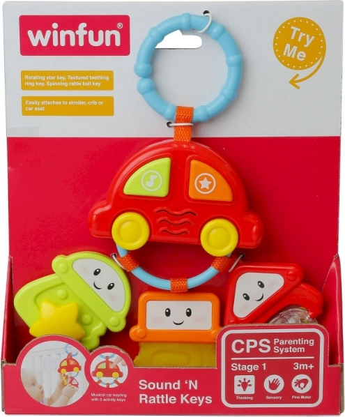 Auto a sospensione con chiavi