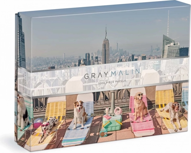Puzzle Gray Malin Cani a New York 1000 pezzi