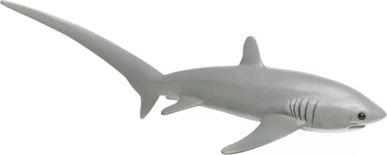 Squalo volpe pelagico - figurina Safari Ltd.