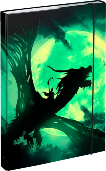 Cartelline per quaderni scolastici A4 con motivo drago BAAGL