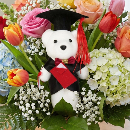Regalo – orsacchiotto per neolaureato 13 cm