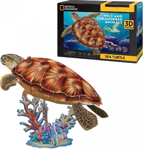 Puzzle 3D NATIONAL GEOGRAPHIC tartaruga marina – 31 pezzi