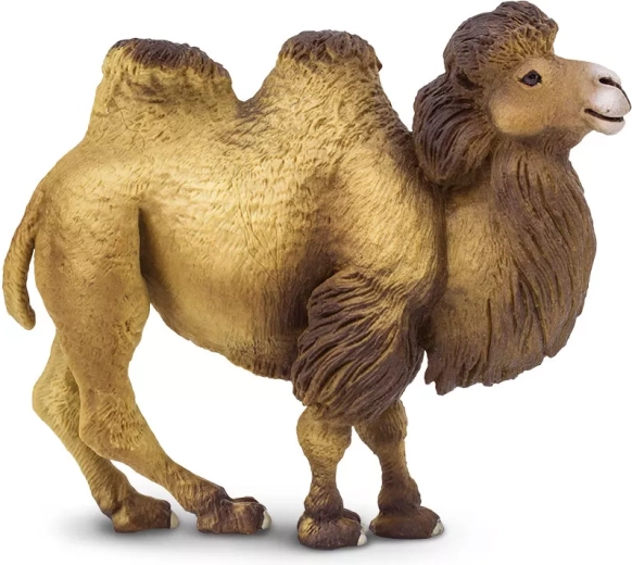 Safari Ltd. cammello battriano (a due gobbe) figurina