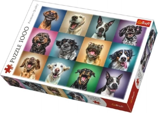 Puzzle ritratti di cani divertenti – 1000 pezzi
