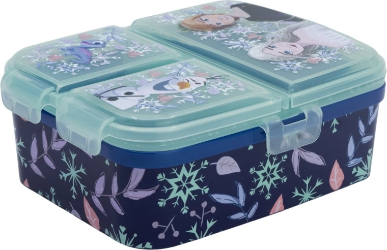 Stor XL lunch box con scomparti Frozen