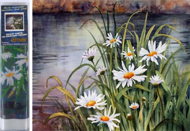 Pittura diamantata margherite sull’acqua 30 × 40 cm