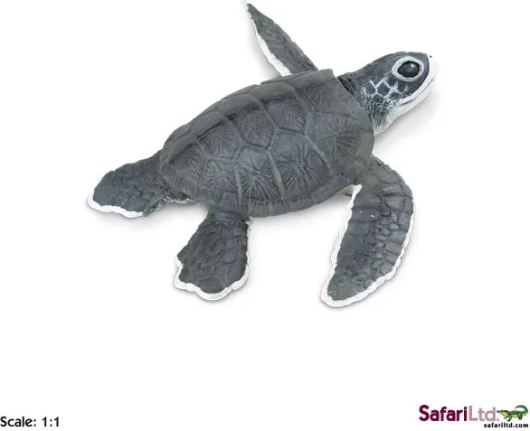 Safari Ltd. piccolo di tartaruga marina - figurina