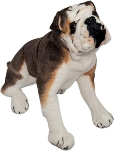 Cane di peluche bulldog - 1 pezzo