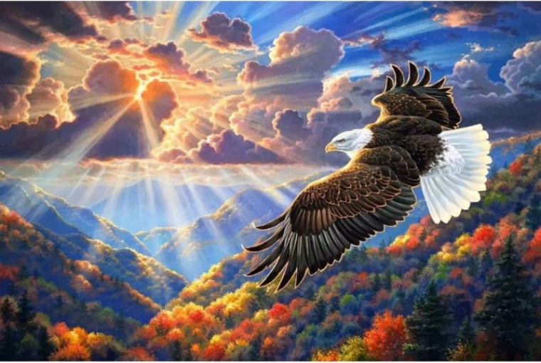Mosaico diamantato (diamond painting) aquila nel cielo 40 × 30 cm