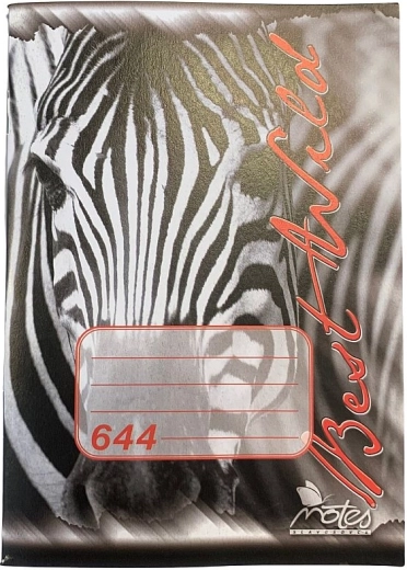 Quaderno scolastico A6, 40 fogli, a righe, carta senza legno