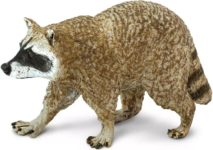 Figura di procione nordamericano Safari Ltd.