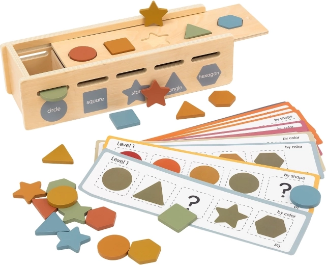 2Kids Toys inserto motorio educativo per la selezione di forme e colori