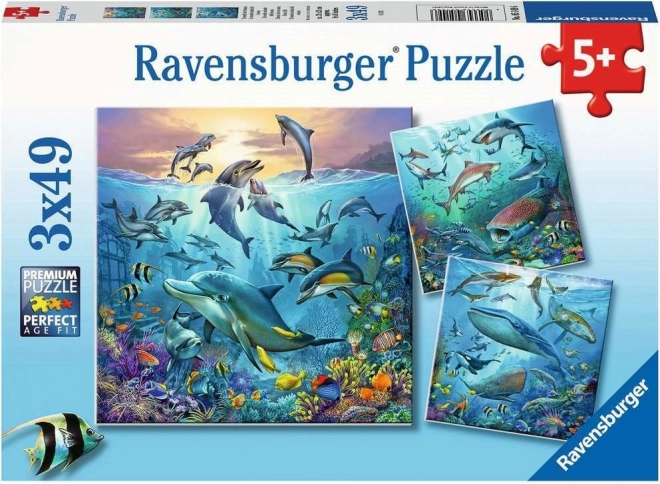 RAVENSBURGER Puzzle Animali dell’oceano 3x49 pezzi