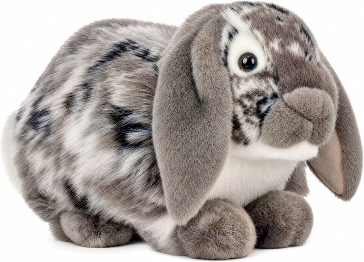 Coniglio francese di peluche grigio 28 cm