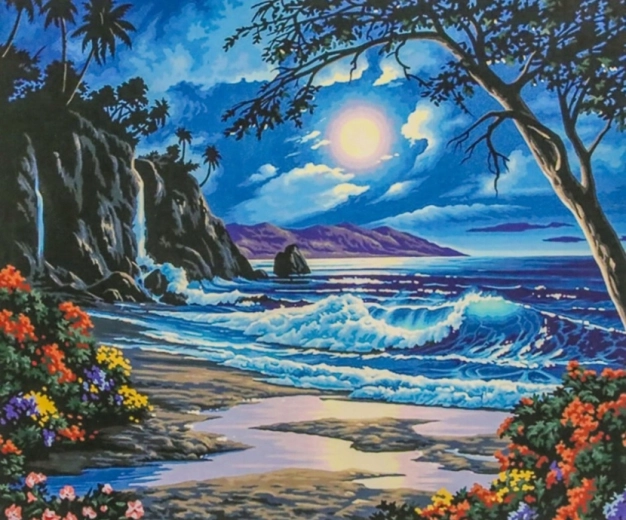 Norimpex Dipingi con i numeri Paradiso di notte 40 × 50 cm