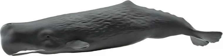 Figura di capodoglio Safari Ltd. - 1 pezzo