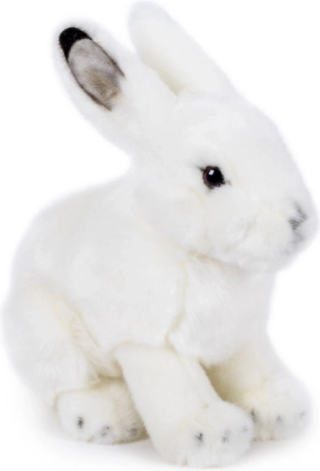 Coniglietto di peluche bianco neve 19 × 19 cm