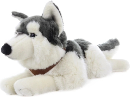 Husky di peluche sdraiato con cinghie 60 cm