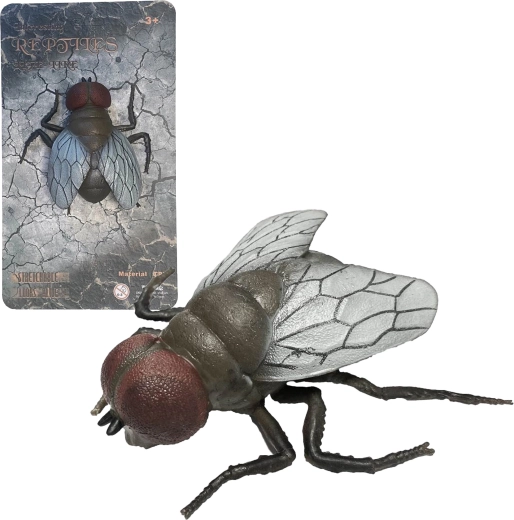 Natura vivente House Fly – modello realistico di mosca 11,5 cm