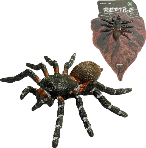 Natura viva: modello realistico di ragno White Knee Spider (8 cm) - 1 pezzo