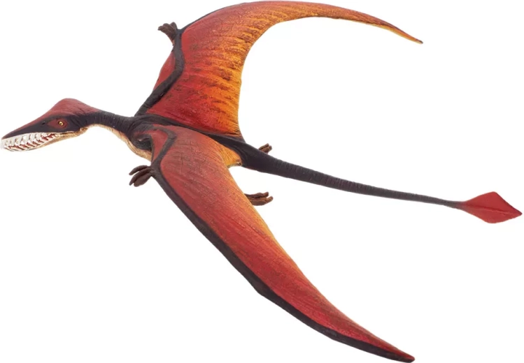 Safari Ltd. ramphorhynchus - 1 pezzo