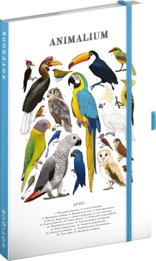 Notique Notes Animalium – taccuino a righe Uccelli 13 × 21 cm