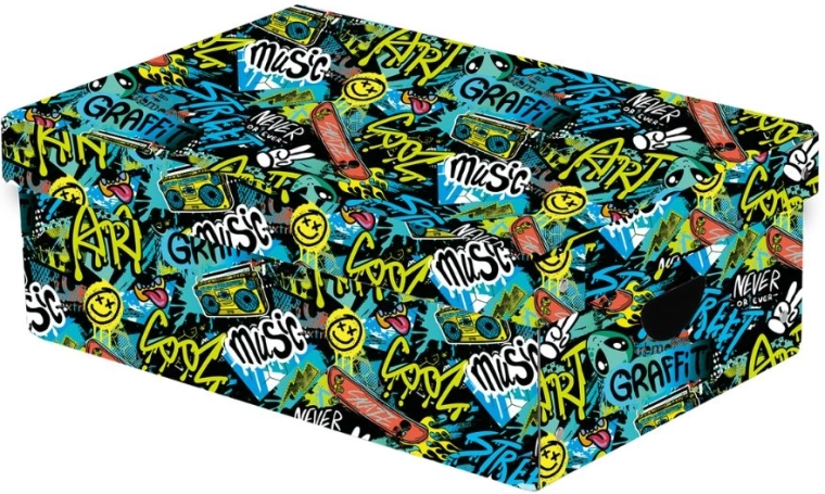 Grande scatola portaoggetti laminata Funny Boy con coperchio