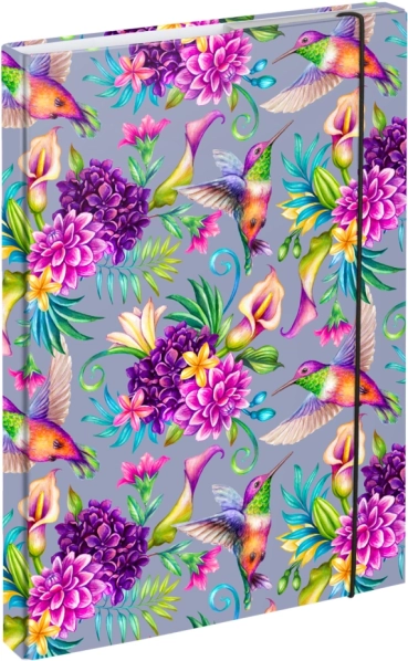 Cartelline per quaderni A4 Colibrì BAAGL