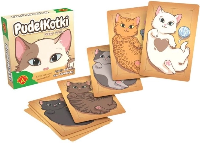 Gatti nelle Scatole – gioco di memoria con carte da viaggio