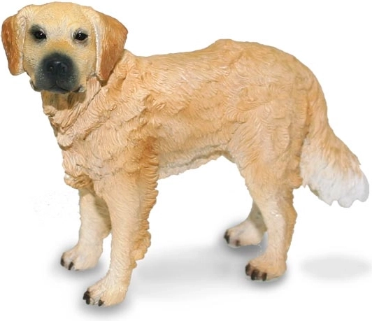 Golden Retriever Collecta