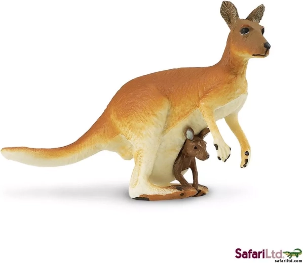 Canguro con cucciolo