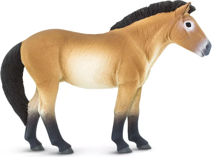 Safari Ltd. statuetta del cavallo di Przewalski