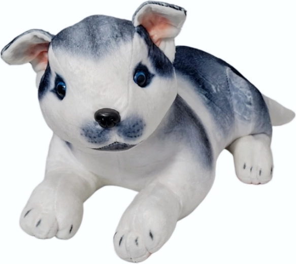Peluche cane husky