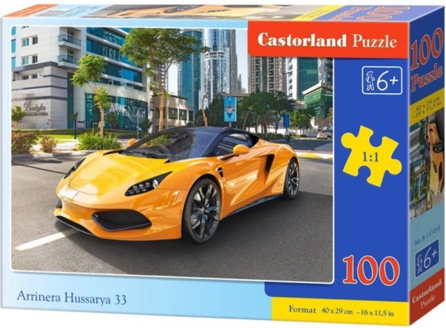 Puzzle 100 pezzi Arrinera Hussarya