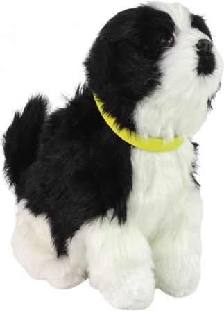 Cagnolino Border Collie interattivo in peluche – abbaia e scodinzola