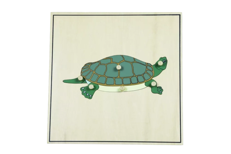 Puzzle con scheletro – tartaruga
