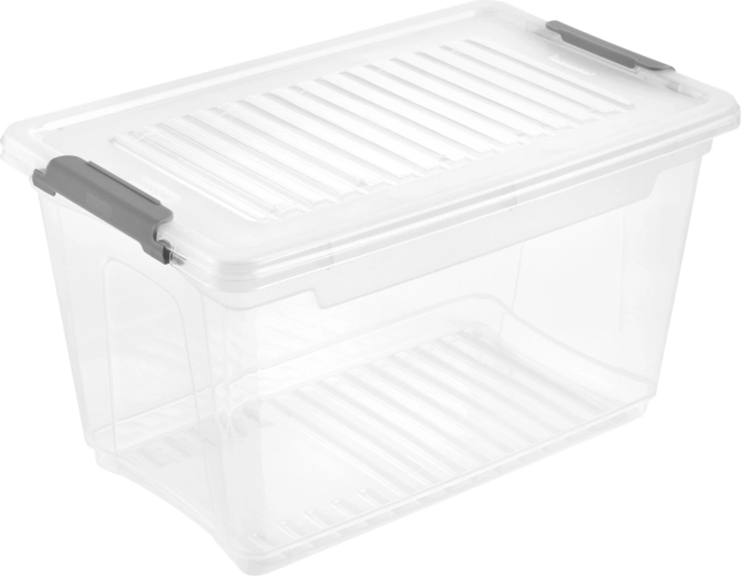 Box contenitore in plastica con coperchio Leonie 5,4 l
