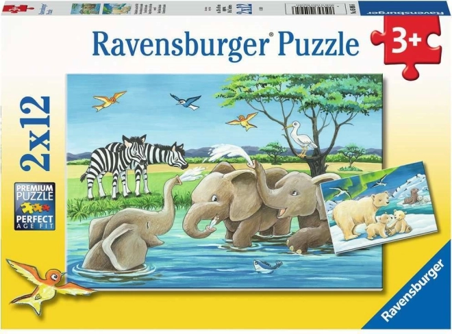 Puzzle Ravensburger Cuccioli di animali 2×12 pezzi