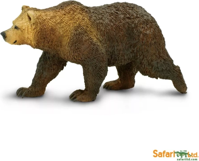 Orso grizzly