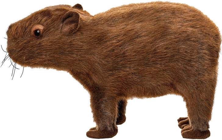 Capibara di peluche 33 cm