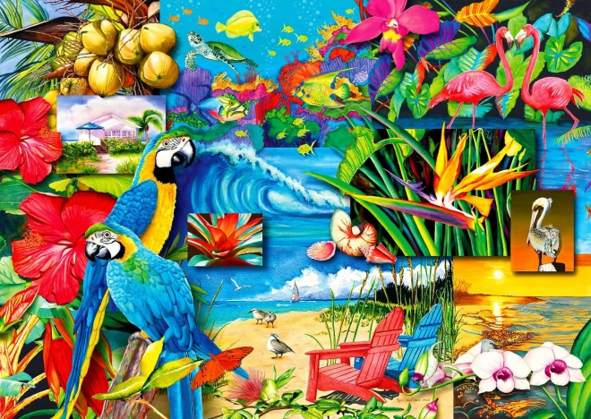 Goditi il Puzzle Tesori Tropicali 1000 pezzi