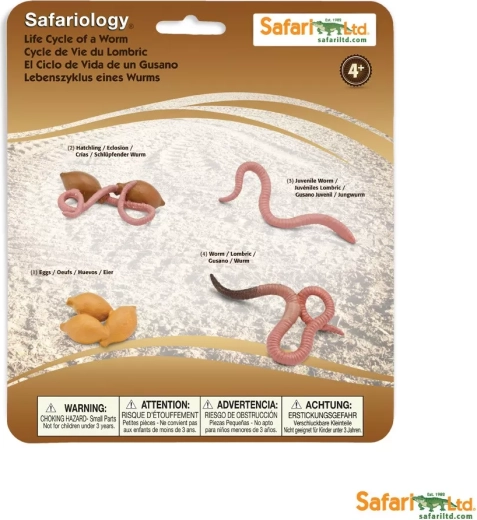Safari Ltd. ciclo vitale della libellula
